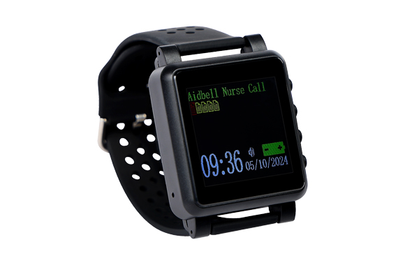 POCSAG Pager PS R860W