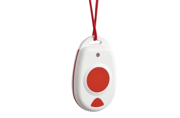 PS T609 Pendant
